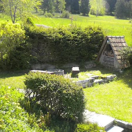 Chalet Tannegg