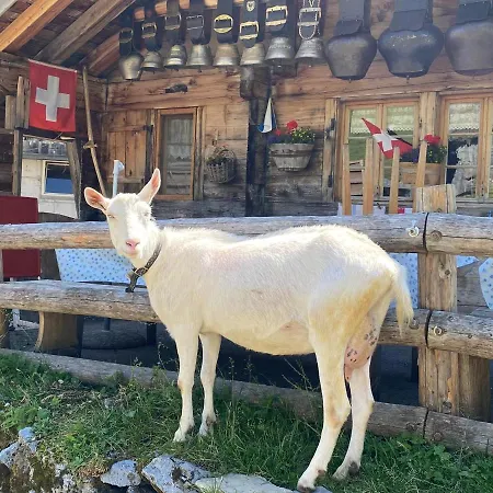 Chalet Tannegg Nyaraló *