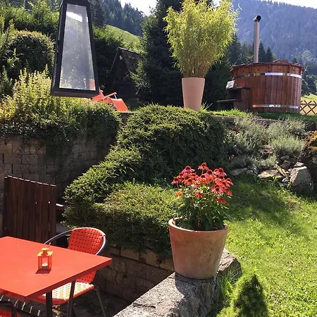 Prázdninový dům Chalet Tannegg