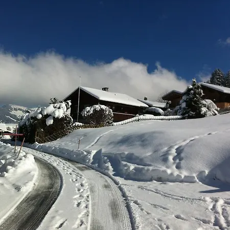 Prázdninový dům Chalet Tannegg