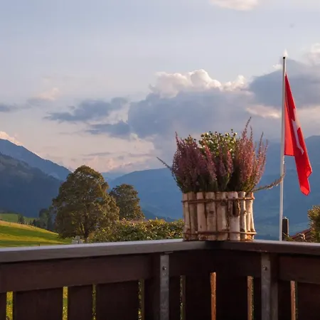 坦尼格度假屋 Reichenbach im Kandertal