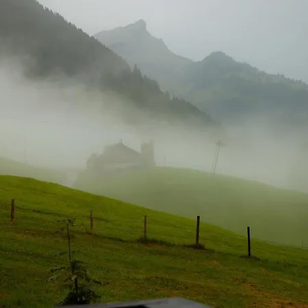 坦尼格度假屋 * Reichenbach im Kandertal