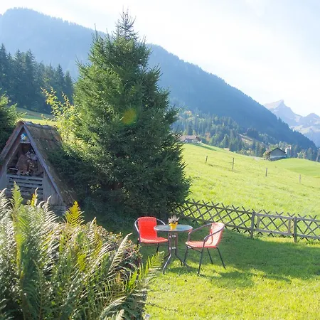 度假居 坦尼格度假屋 Reichenbach im Kandertal