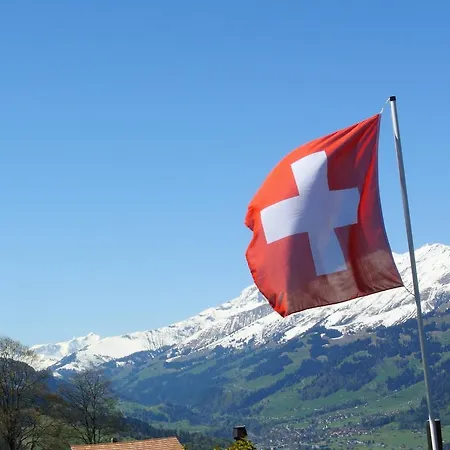 坦尼格度假屋 * Reichenbach im Kandertal