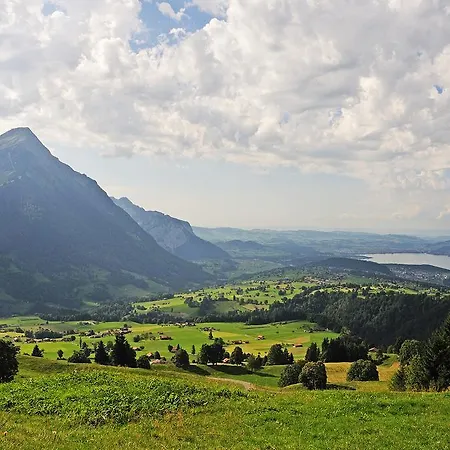 坦尼格度假屋 Reichenbach im Kandertal